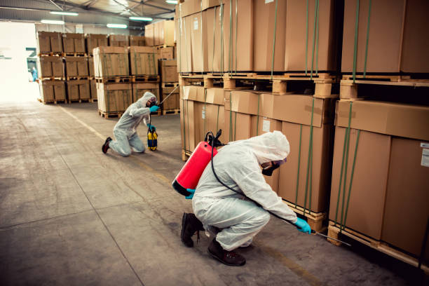 Best Pest Control for Homes  in Hanover Park, IL
