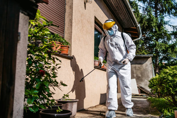 Best Pest Removal Services  in Hanover Park, IL