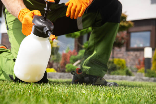Best Cockroach Control Services  in Hanover Park, IL