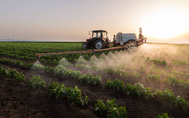 Best Mosquito Control Services  in Hanover Park, IL
