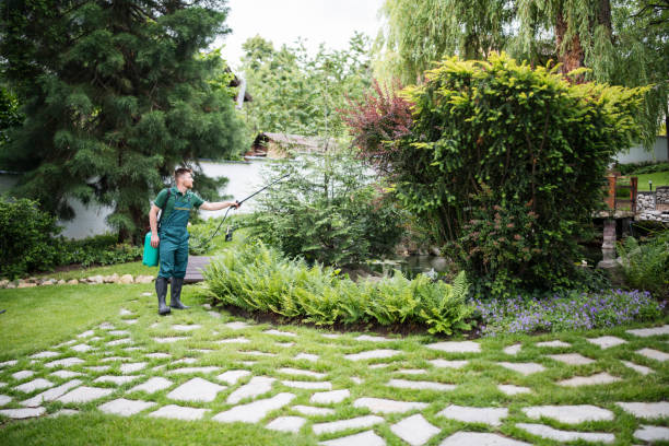 Best Local Pest Control Services  in Hanover Park, IL