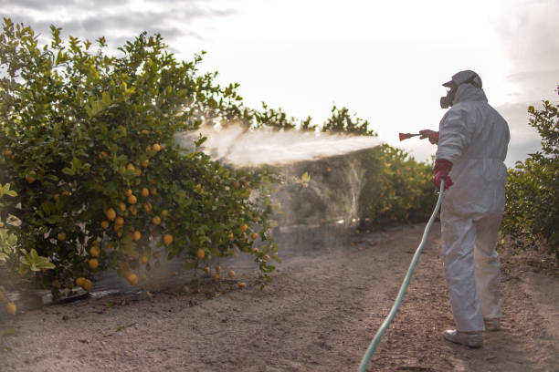 Best Emergency Pest Control  in Hanover Park, IL