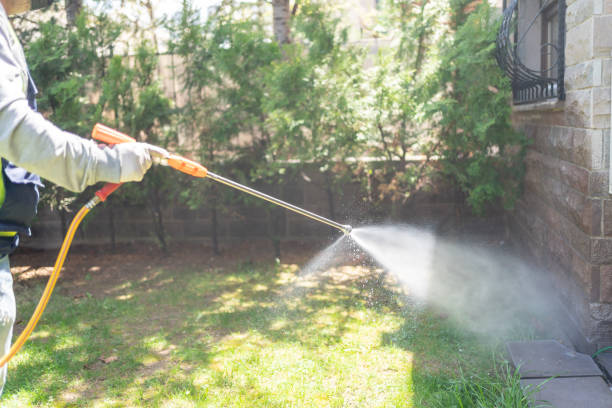 Best Termite Control Services  in Hanover Park, IL