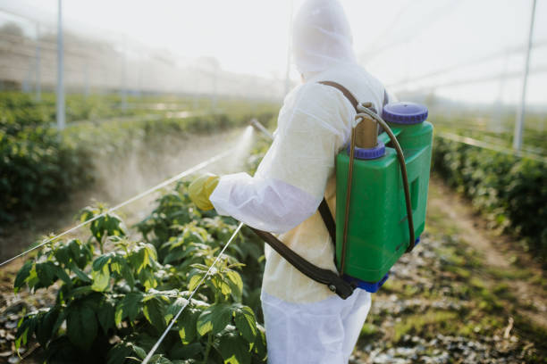 Best Best Pest Control Companies  in Hanover Park, IL